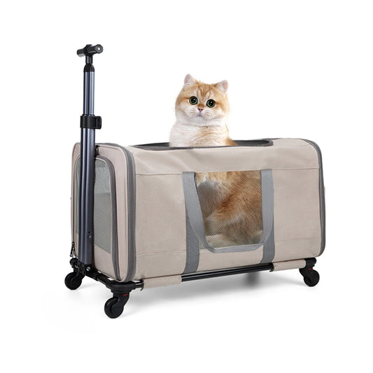 Cat trolley for 2 cats – Cat transport box large with wheels for 2 animals – Transport bag with wheels & safety belts for travel