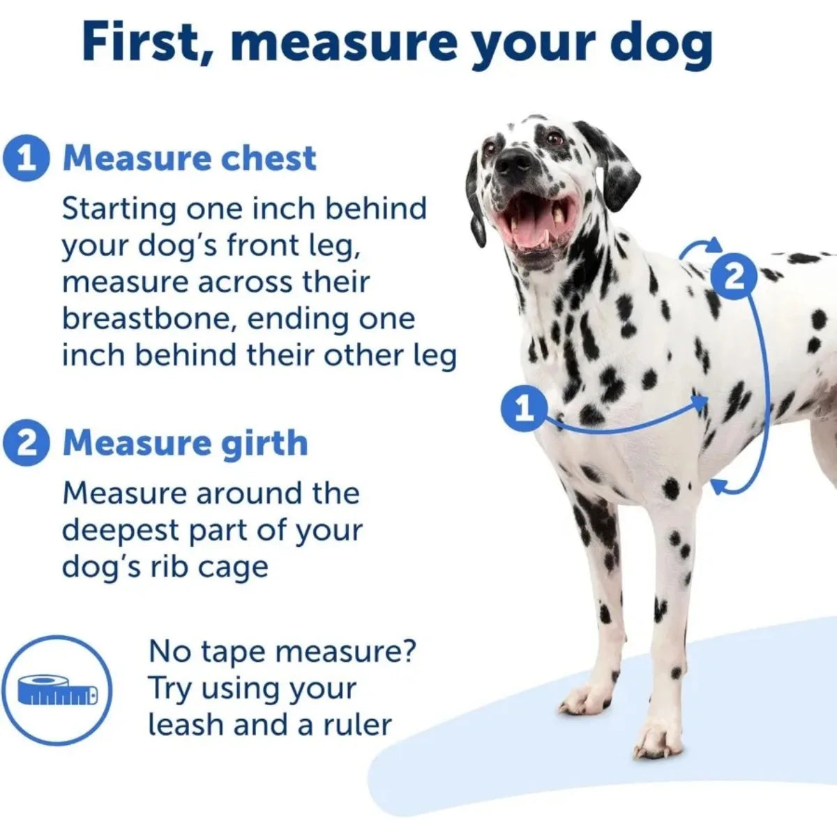 Breathable No Pull Dog Harness, Front Chest Leash Attachment with Comfort Straps for Walking Training