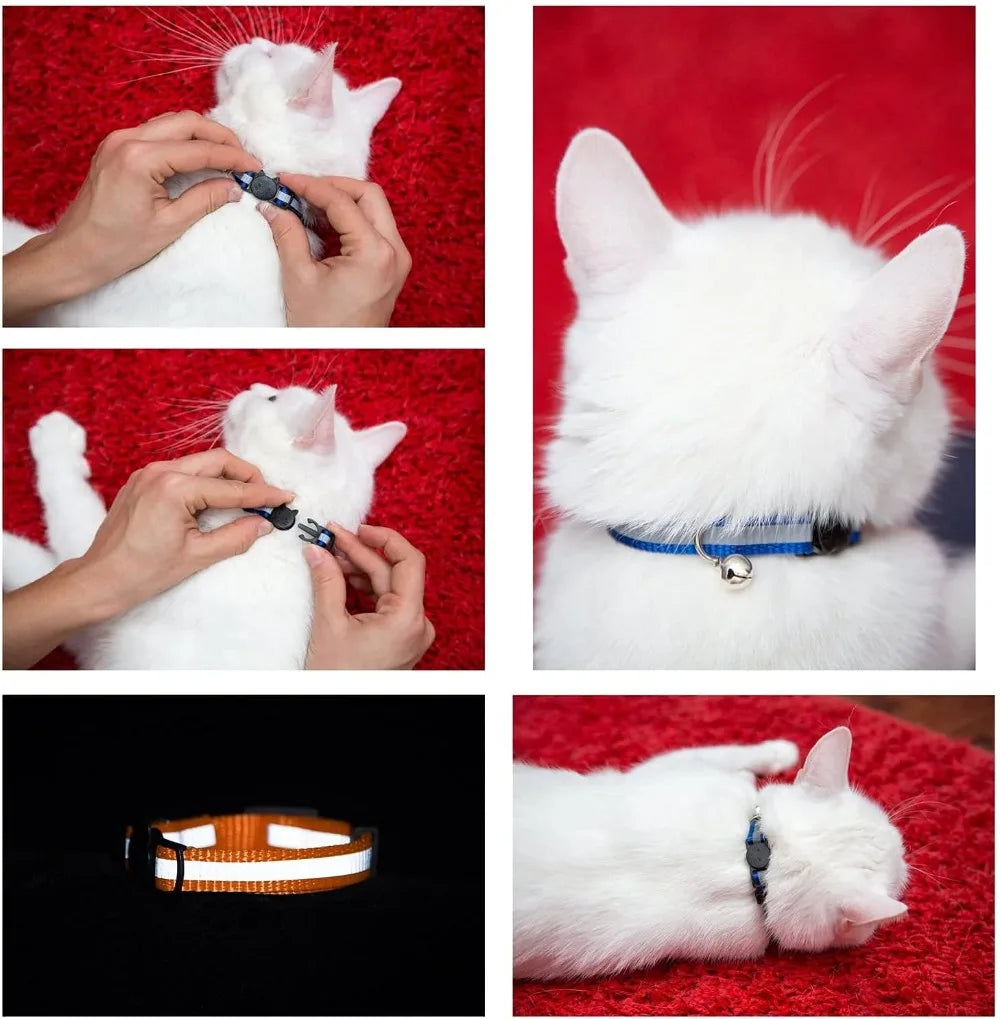 6-Pack Reflective Cat Collars with Bell, Safe Breakaway Nylon, Mixed Colors, Ideal for Cats, Includes Charms.