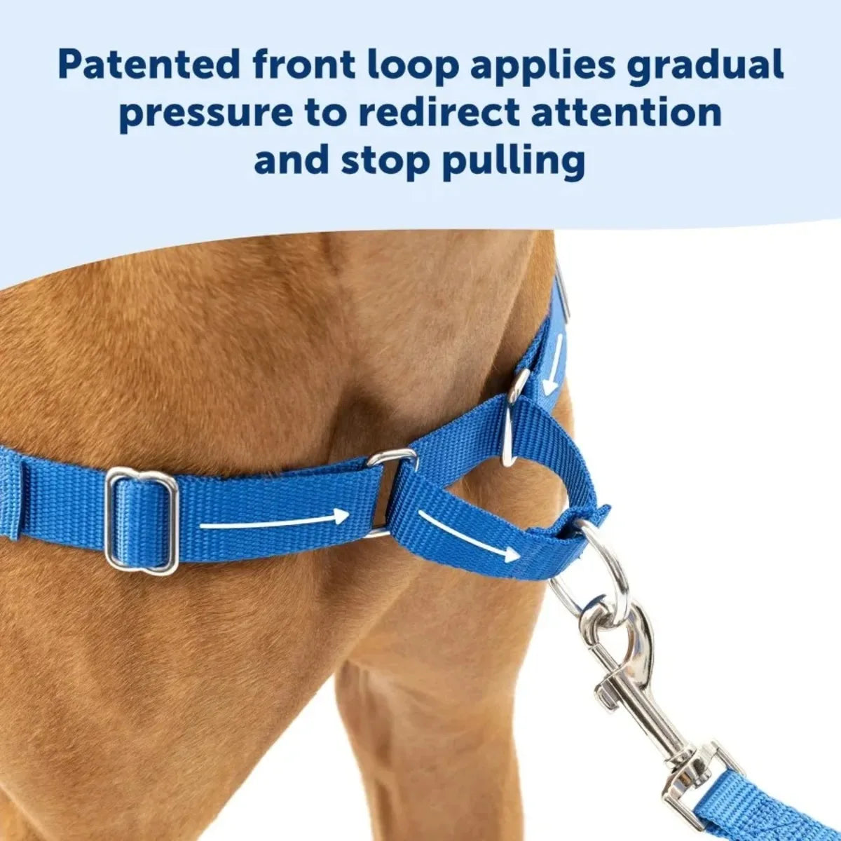 Breathable No Pull Dog Harness, Front Chest Leash Attachment with Comfort Straps for Walking Training