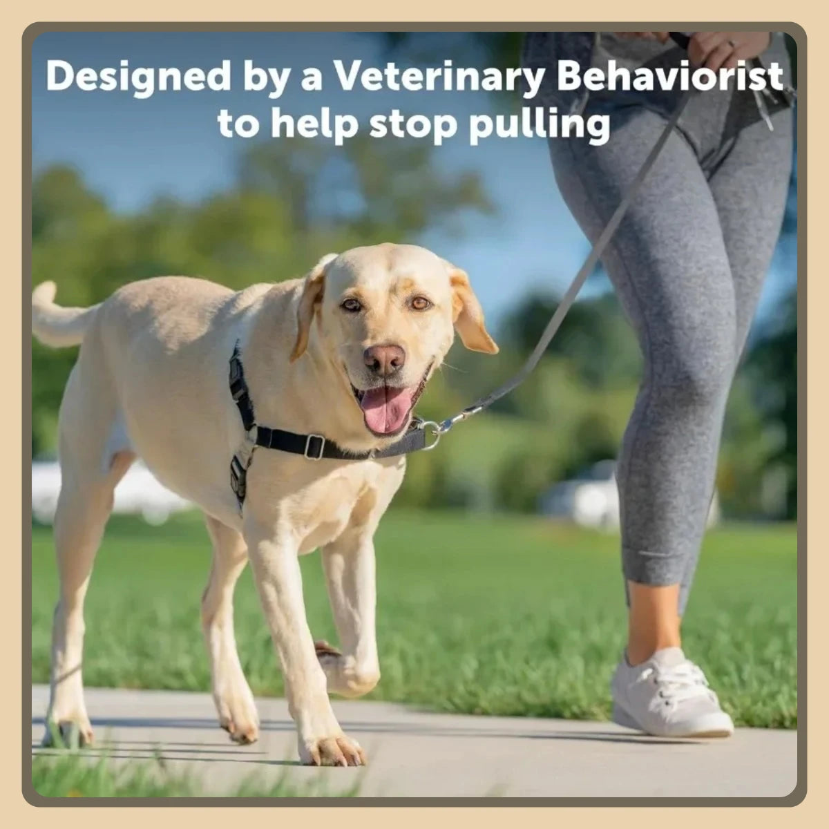 Breathable No Pull Dog Harness, Front Chest Leash Attachment with Comfort Straps for Walking Training