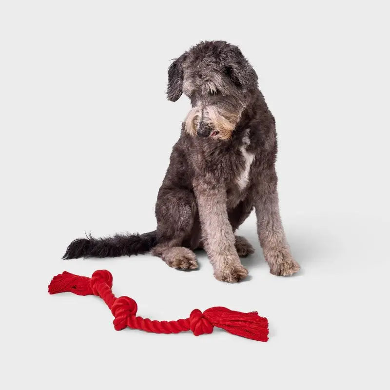 15 Inch Red Rope Dog Toy for Aggressive Chewers Tough Durable Tug of War Fetch Interactive Play Puppy Teeth Cleaning Chew